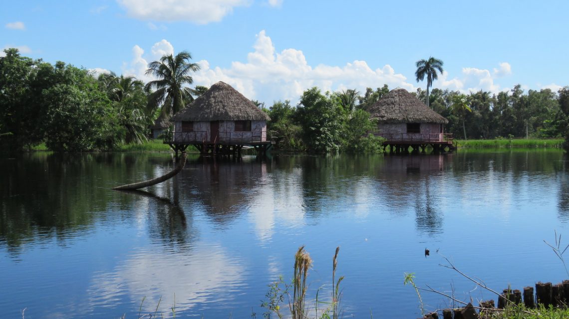 Séjour inoubliable à Cuba : les inratables