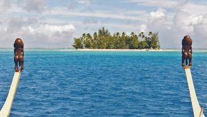 Top 4 des meilleurs spots de plongées sous-marines en Polynésie française