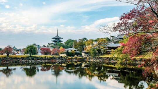 Quelles sont les plus belles routes des sanctuaires bouddhistes du Japon ?