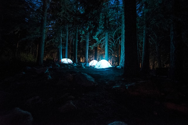 camping en Forêt Noire