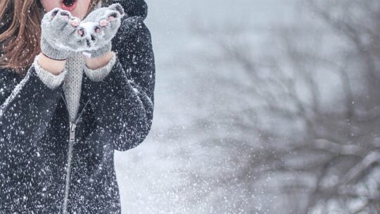 Les manteaux les plus stylés pour l’hiver : guide d’achat et tendances